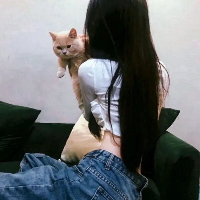 复婚